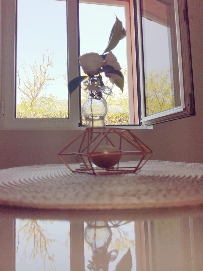 Апартаменты Paunovic Apartments Тиват-33