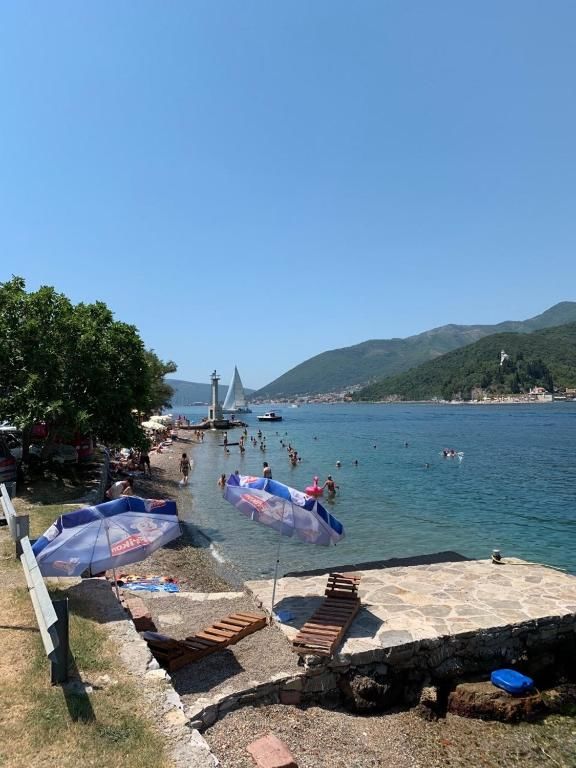 Апартаменты Paunovic Apartments Тиват-79