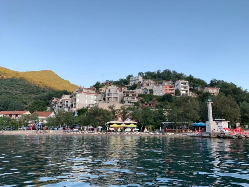 Апартаменты Paunovic Apartments Тиват-81